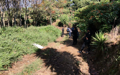 Asesinan a mujer cuando se dirigía a cortar café