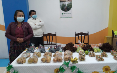 Impulsan proyecto ante falta de oportunidades de empleo para jóvenes