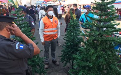 Concejo Municipal tendrá que decidir sobre la posibilidad de instalación de ventas navideñas en La Democracia.