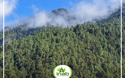 Hoy es el Día Internacional de las Montañas, ¿Cuál es el tema de este año?