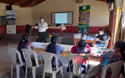 Inab desarrolla taller para el control de incendios forestales