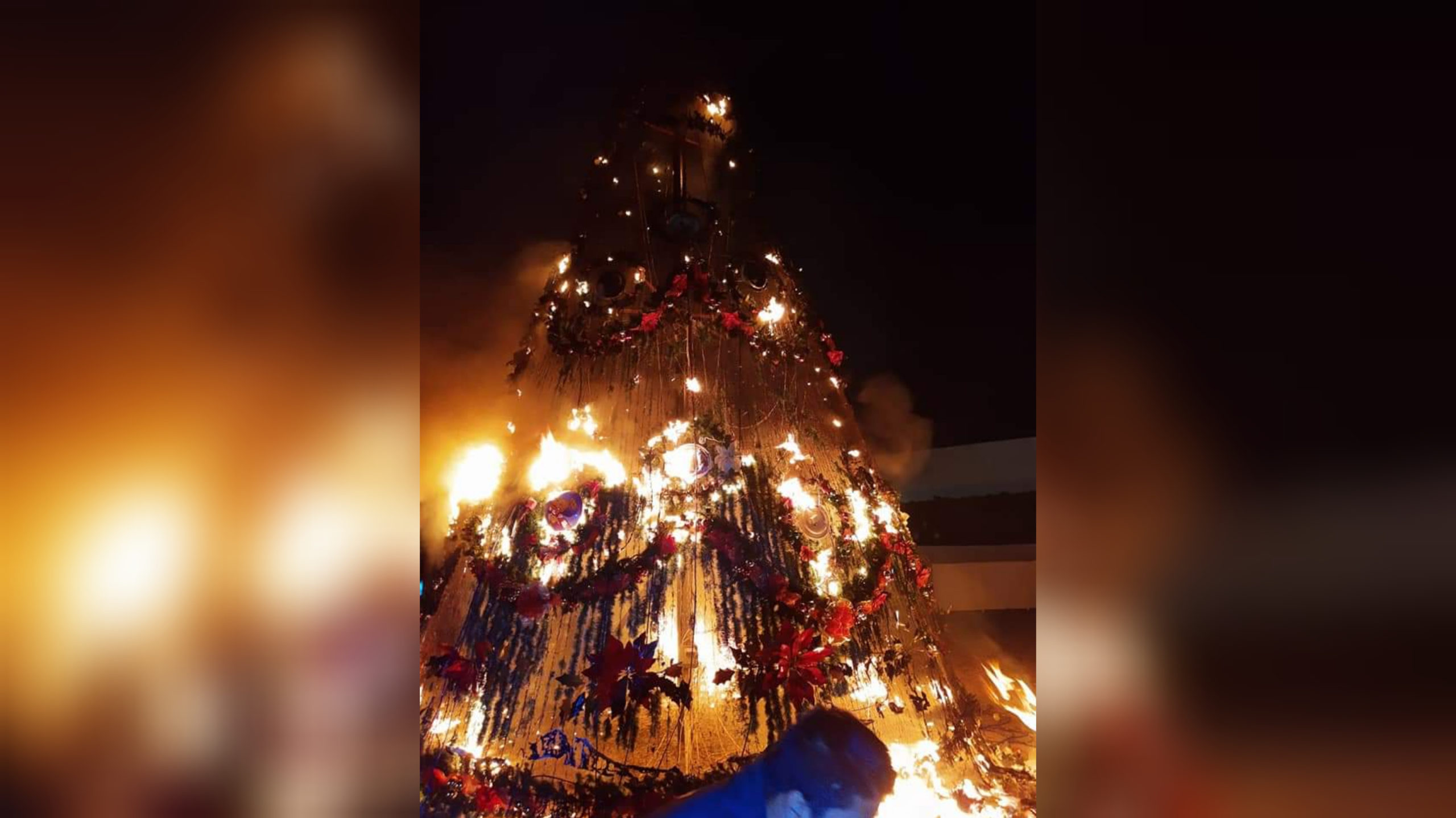 InShot_20191225_144318548