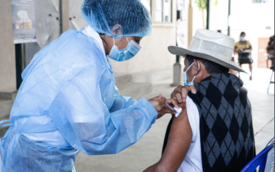 La pandemia y los necesarios cambios del sistema sanitario en América Latina: ¿Qué esperar?