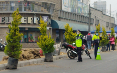 Inician siembra de más de 350 árboles en la 4ª calle, zona 3 de Xela