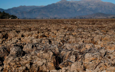 El Ministerio de Ambiente en Quetzaltenango promueve a 89 educadores ambientales, estas serán sus funciones.