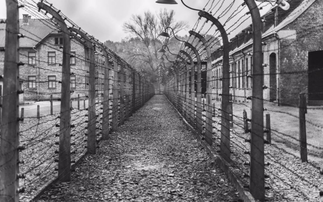 Efemérides: Día Internacional de Conmemoración en Memoria de las Víctimas del Holocausto