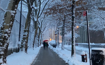 Primera nevada del 2022 en Nueva York, estados del sur de EE. UU. también bajo la nieve