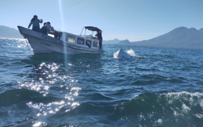Una embarcación en la que viajaba la familia de un médico zozobró en el lago de Atitlán, todos fueron rescatados con vida.