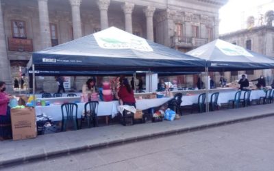 Desarrollan ferias del empleo y emprendimiento frente a la Muni de Xela