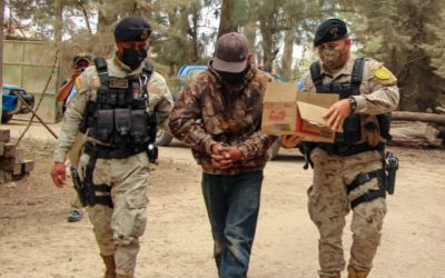 Capturado por comercializar cuatro pericas en peligro de extinción