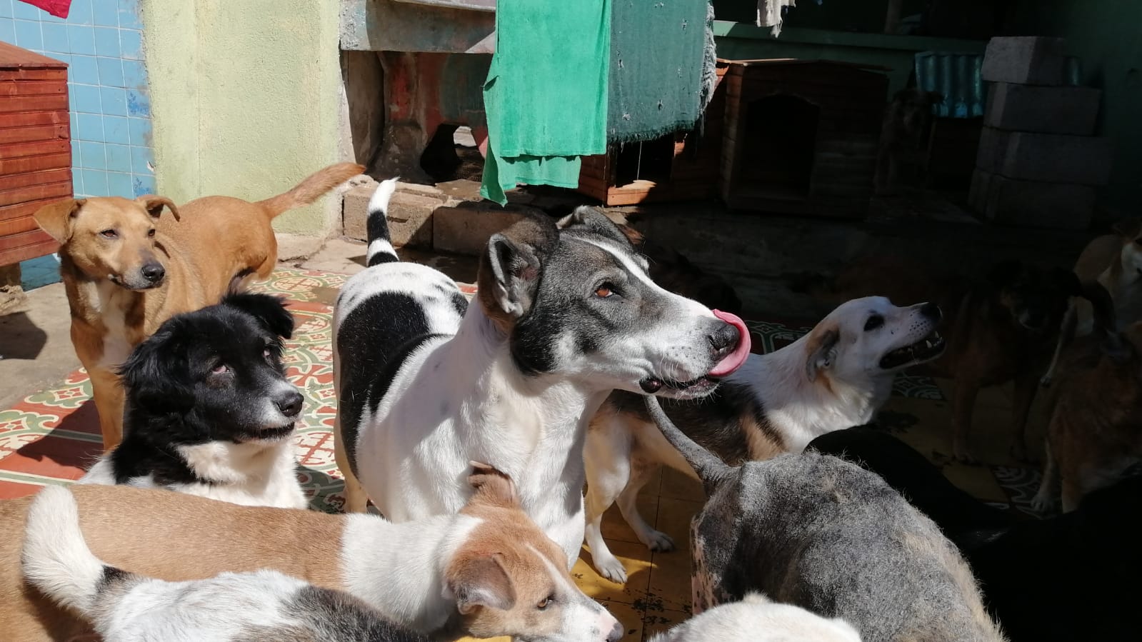 WhatsApp Image 2022-02-06 at 13.04.24-2