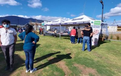 Adultos mayores de Xela son parte del proyecto “Volviendo a la vida” 