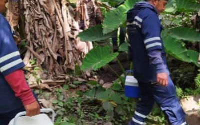 Comprueban potabilización de agua en nacimientos de Zunil