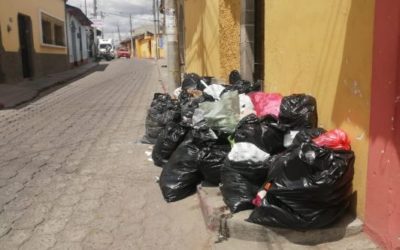 Director del CAP dice que acumulación de basura puede causar proliferación de ratas y cucarachas