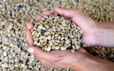 Exportaciones de Nicaragua a Rusia serán afectadas por sanciones: analistas