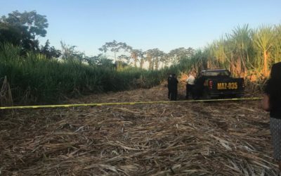 Testigos refieren que hombre que apareció sin vida entre cañaverales, laboraba como cobrador