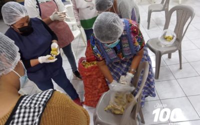  Imparten capacitación para cultivo de hongos ostra. 