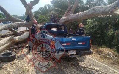Árbol cae sobre vehiculo en Coatepeque, tres personas resutaron heridas entre ellos una menor de 8 meses.