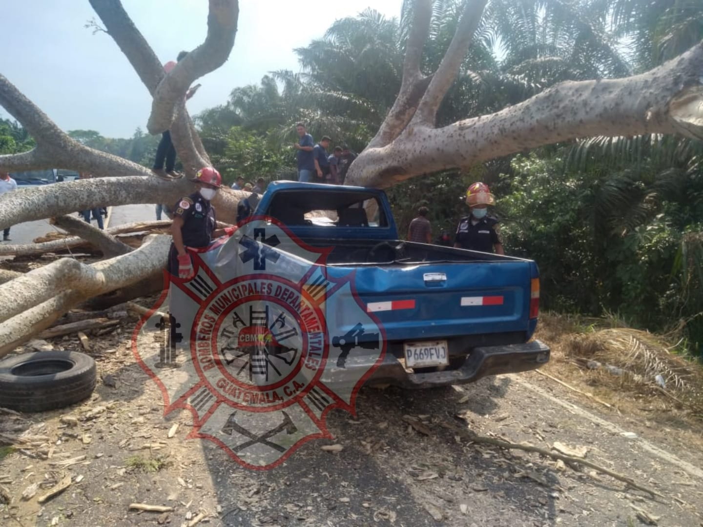 WhatsApp Image 2022-03-14 at 4.55.51 PM