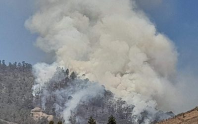 Esta es la estadística de incendios forestales que han sido reportados en los últimos días en Quetzaltenango.