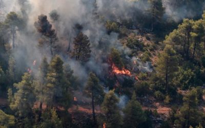 Cinco mujeres entre ellas una menor de 7 meses mueren calcinadas en un incendio forestal en Quiché.