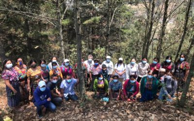 Inab desarrolla gira de intercambio de experiencias de incentivos forestales
