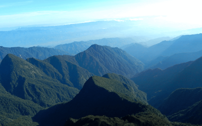 Aeronave se estrella en Sierra de las Minas, localizan restos humanos, droga y dinero.