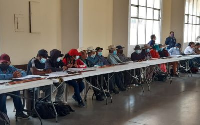 Sin resolverse liberación de paso de tren de aseo municipal en la Puerta del Llano.