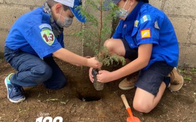 Scout en Quetzaltenango conmemoran el Día del Árbol