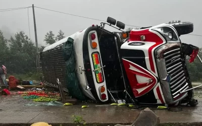 Nueve heridos al volcar bus extraurbano en la ruta Interamericana
