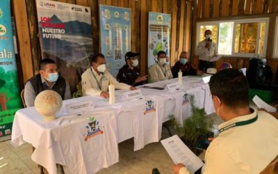 Inab inicia campaña de reforestación