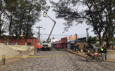 La EEMQ interviene el ramal Xela 2 a petición de vecinos, para liberar líneas y realizar poda