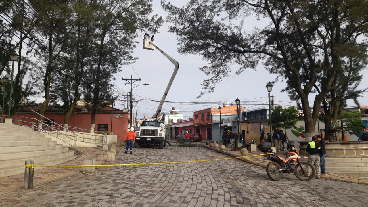 La EEMQ interviene el ramal Xela 2 a petición de vecinos, para liberar líneas y realizar poda