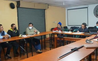 Organización de los 48 Cantones busca generar su propia energía eléctrica