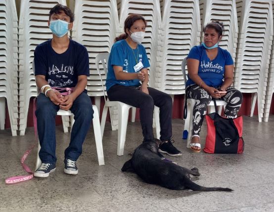 Organizan venta de comida y artículos para continuar castración de perros y gatos