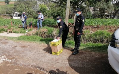 Localizan osamenta en allanamiento en la zona 9 de Quetzaltenango