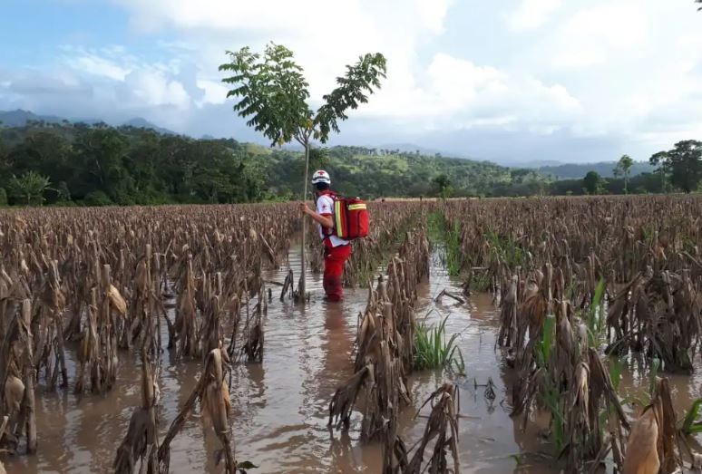 Cruz Roja Guatemalteca monitorea zonas afectadas por lluvias