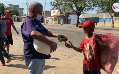«El mango calma el hambre»: llegó la temporada de la fruta salvavidas en Venezuela