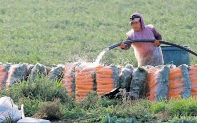 EE. UU. buscará acuerdo migratorio en cumbre