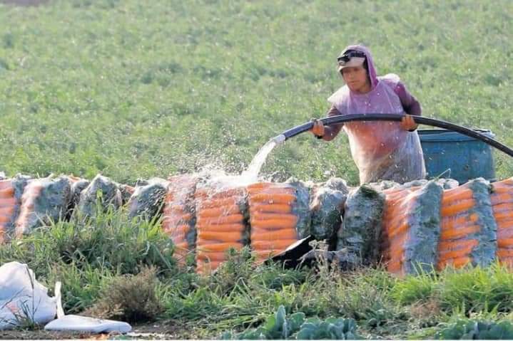 EE. UU. buscará acuerdo migratorio en cumbre