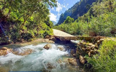 “Una Sola Tierra” es la campaña para el 2022 para celebrar este 5 de junio el Día Mundial del Medio Ambiente