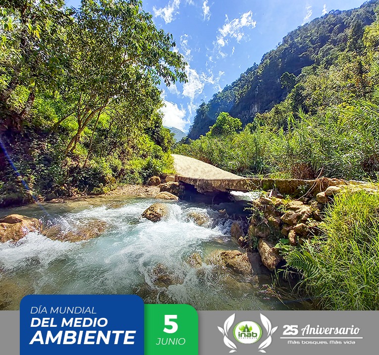 WhatsApp Image 2022-06-05 at 7.09.05 AM