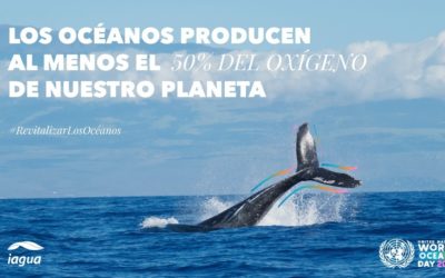 8 de junio: Día Mundial de los Océanos