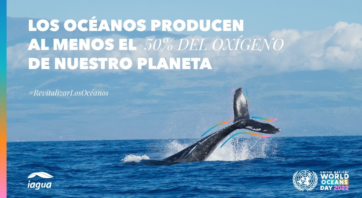 8 de junio: Día Mundial de los Océanos