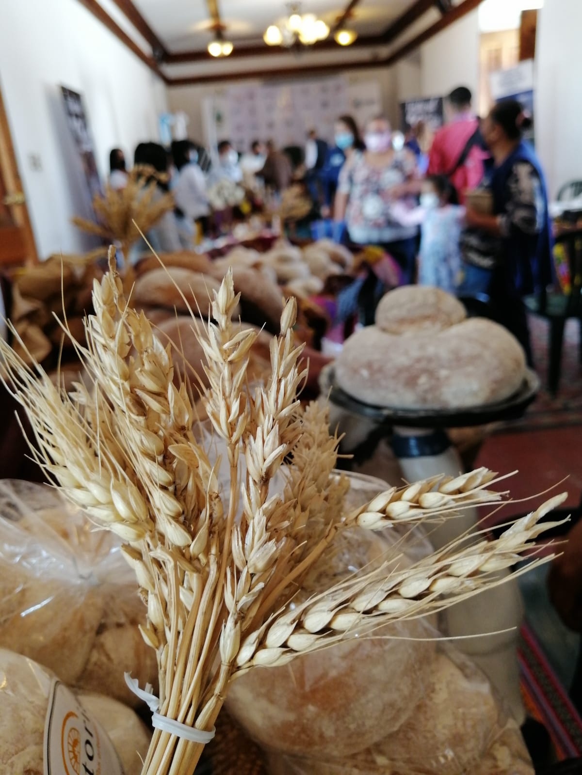 Primer Festival de la Sheca en Xela busca el impulso turístico y económico de los artesanos