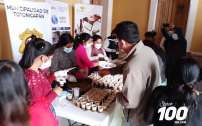 Ejecutan proyecto para producción y comercialización de hongos ostra