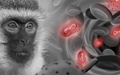 Hombre, de 31 años, es el primer caso de viruela del mono en Guatemala