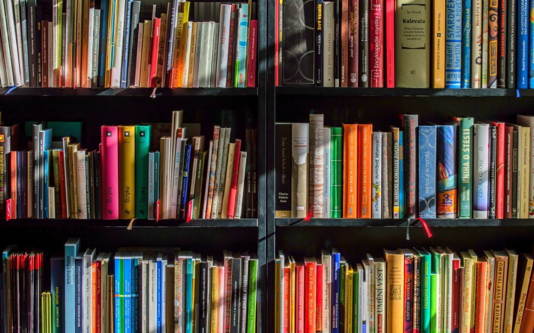 La formación del profesorado en investigación