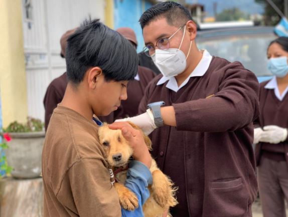 Proyectan la vacunación de más de 23 mil mascotas en Totonicapán