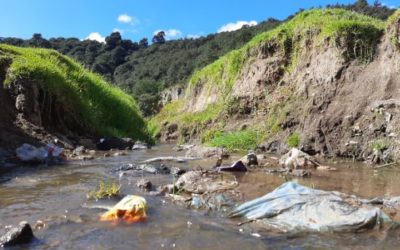 ¿Cuáles son algunas causas de la escasez del vital líquido?